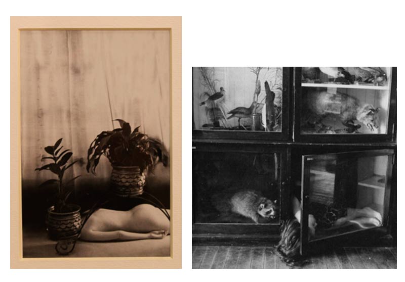 Злева: фатаграфія з серыі Алёны Аксёнавай «Аўтапартрэт. Межы пакуты, прадстаўленай на выставе.  Справа: фотаздымак Франчэскі Вудман